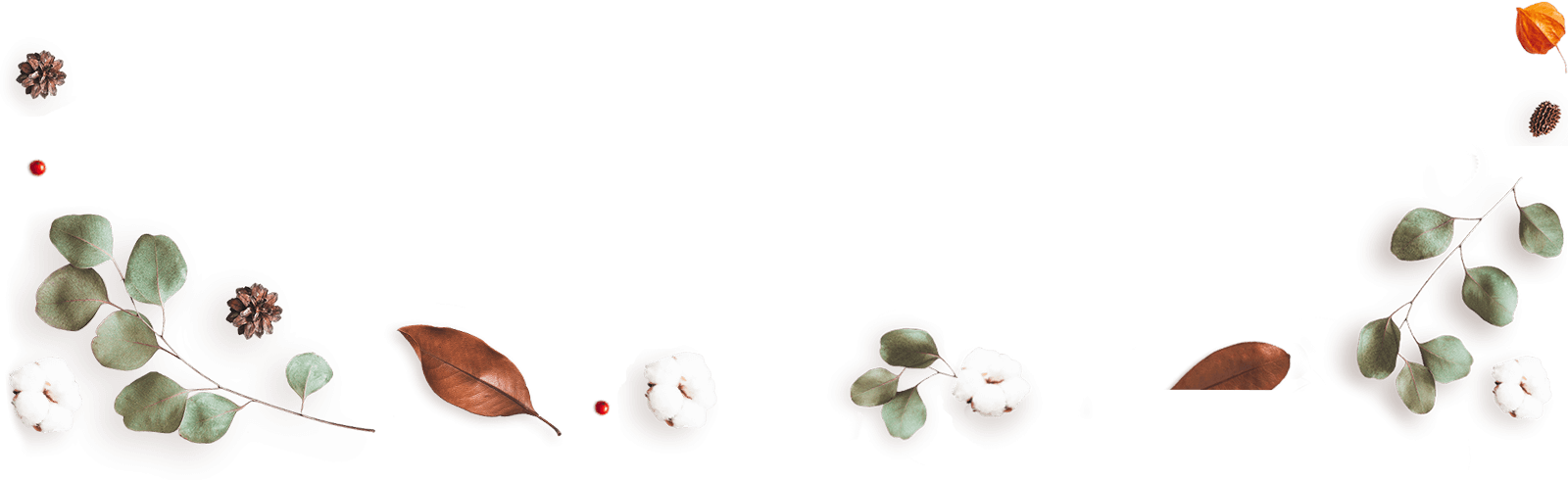 https://voryllasphotography.com/wp-content/uploads/2020/12/floating_image_13.png