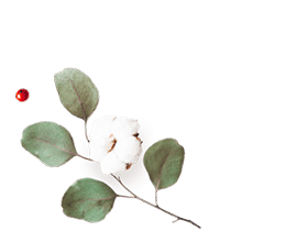 https://voryllasphotography.com/wp-content/uploads/2020/12/floating_image_flower_01.png