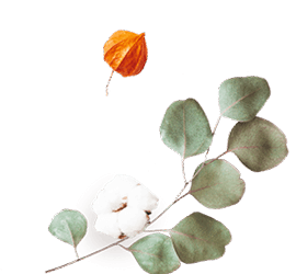 https://voryllasphotography.com/wp-content/uploads/2020/12/floating_image_flower_02.png