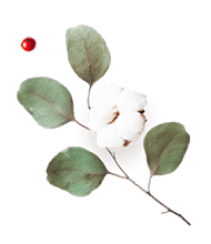 https://voryllasphotography.com/wp-content/uploads/2020/12/floating_image_flower_03.png