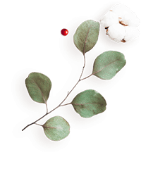 https://voryllasphotography.com/wp-content/uploads/2020/12/floating_image_flower_04.png